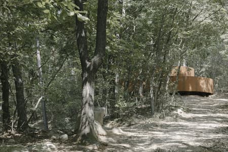 Secret Forest Tree Pavilion